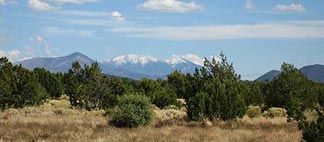 Howard Mesa View