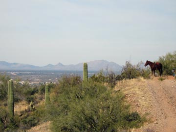 Jake on Wickenburg Mountain