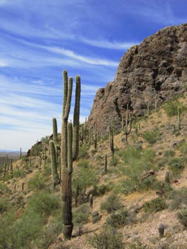 The back side of Wickenburg Mountain