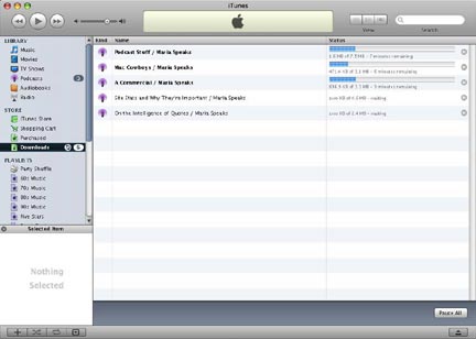Downloads Window