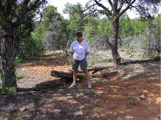 At Dripping Springs