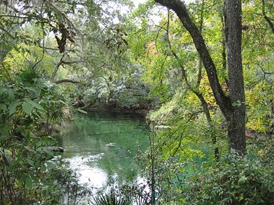 Blue Spring State Park