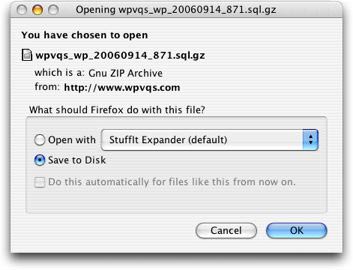 Save File