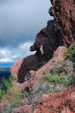 On Vulture Peak Trail