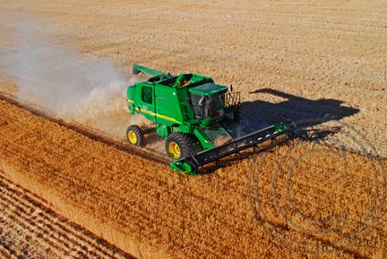 Wheat Harvest Wheat Harvest