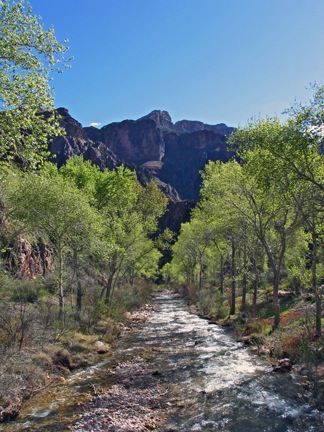 Bright Angel Creek
