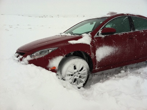 Snow Bank