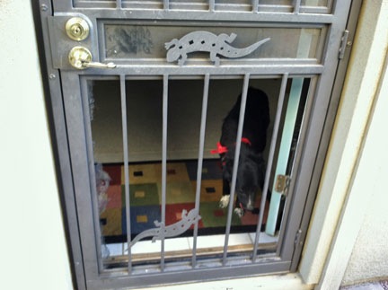 Screen Door by Charlie