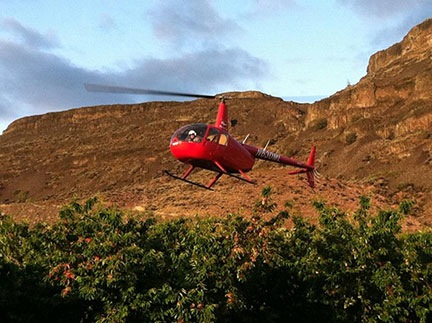 Drying Cherries with a Helicopter
