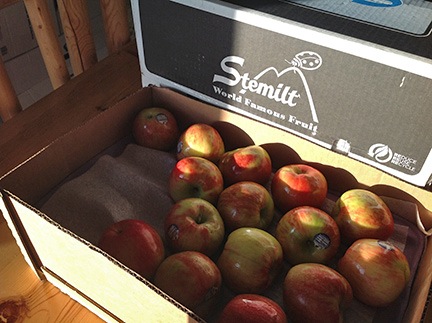 Honey Crisp Rules!
