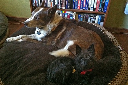 Zoe and Penny