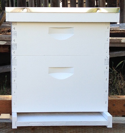 My Hive