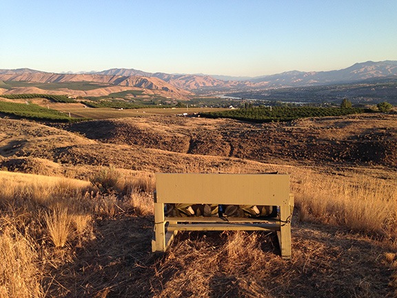 The View from Lookout Point