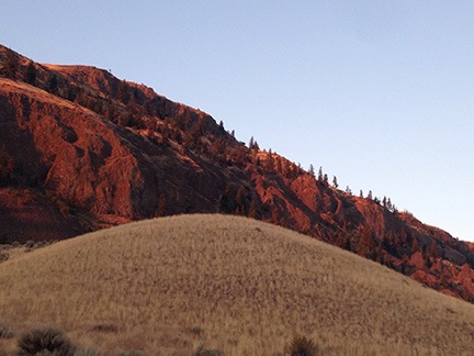 Golden Basalt