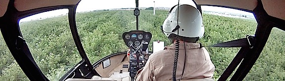 Cherry Drying Cockpit