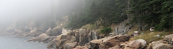 Maine Fog