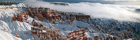 Bryce