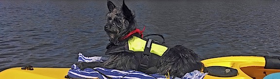 Penny Kayak