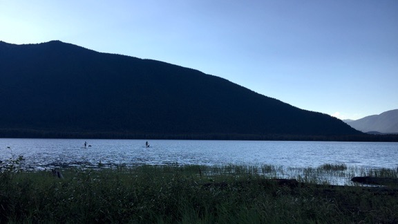 Stand Up Paddleboarders with Dogs