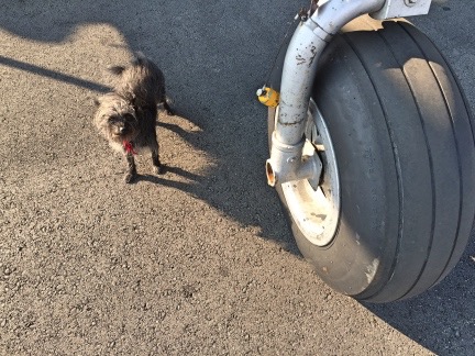 Penny with a B-25