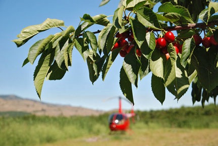 Cherry Parking Spot