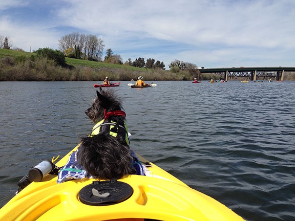 Penny on the Kayak