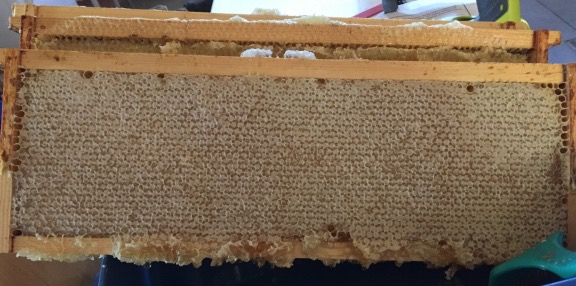 Capped Honey Frame