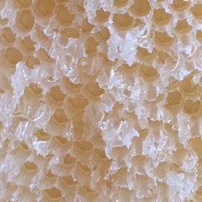 Uncapped Cells