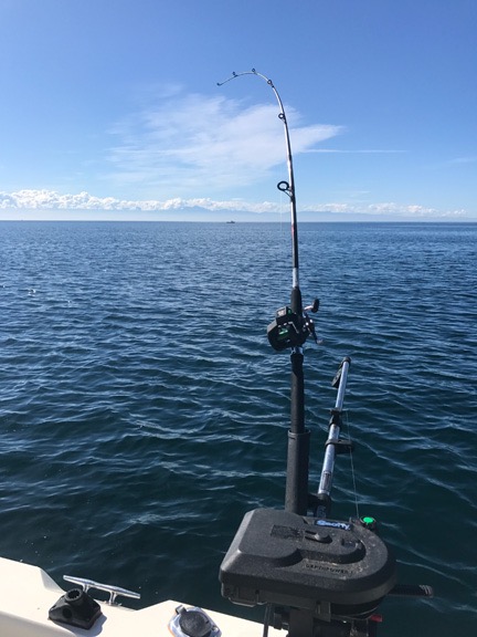 Downrigger Setup