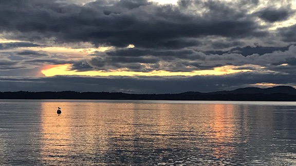 Late for Sunset