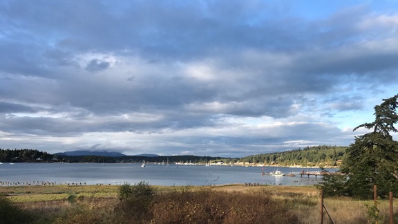 View from the Porch